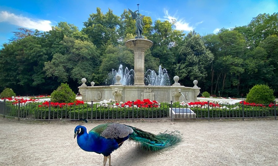 CampoGrande